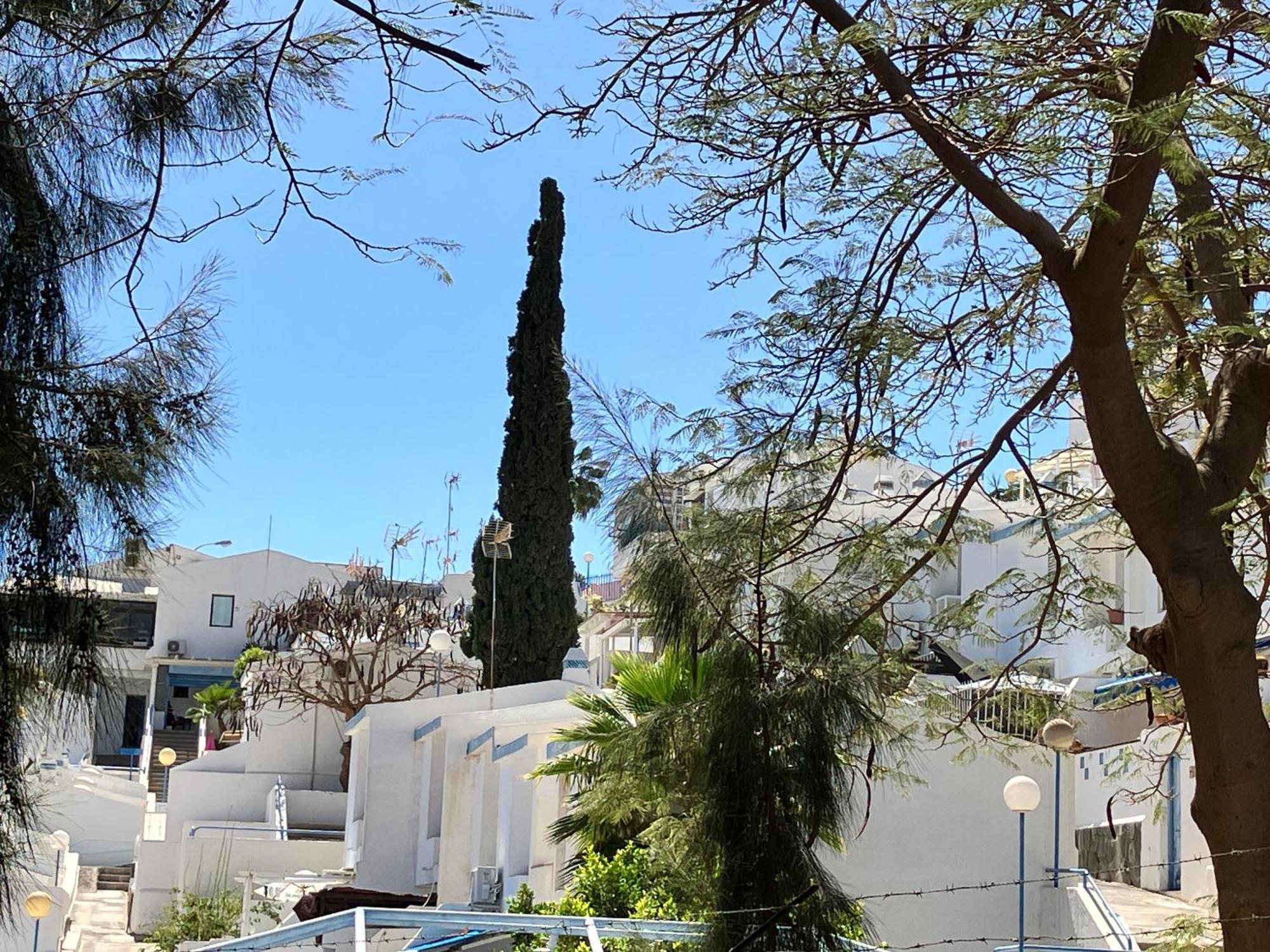 Apartmán Casakash Sonnenland Maspalomas  Exteriér fotografie